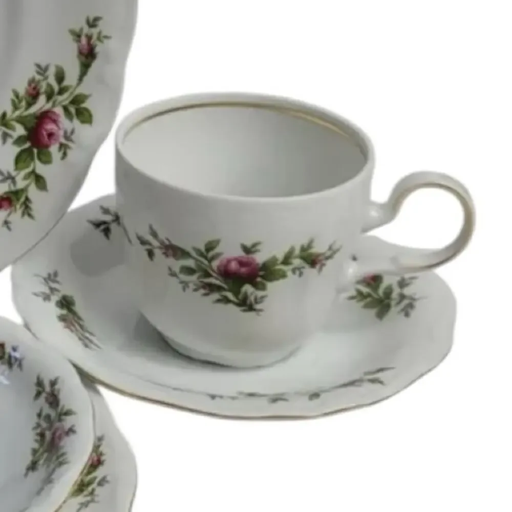 Vintage Johann Haviland Moss Rose 5 Piece Place Setting Traditions Fine China